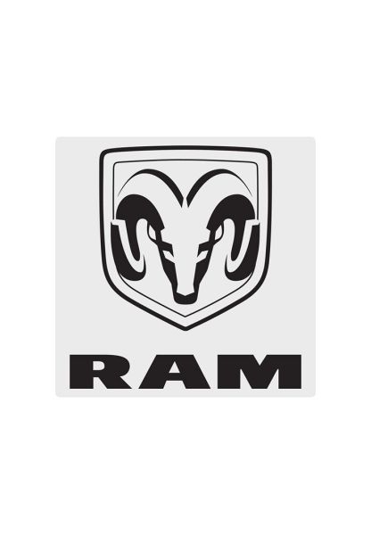 RAM STICKER